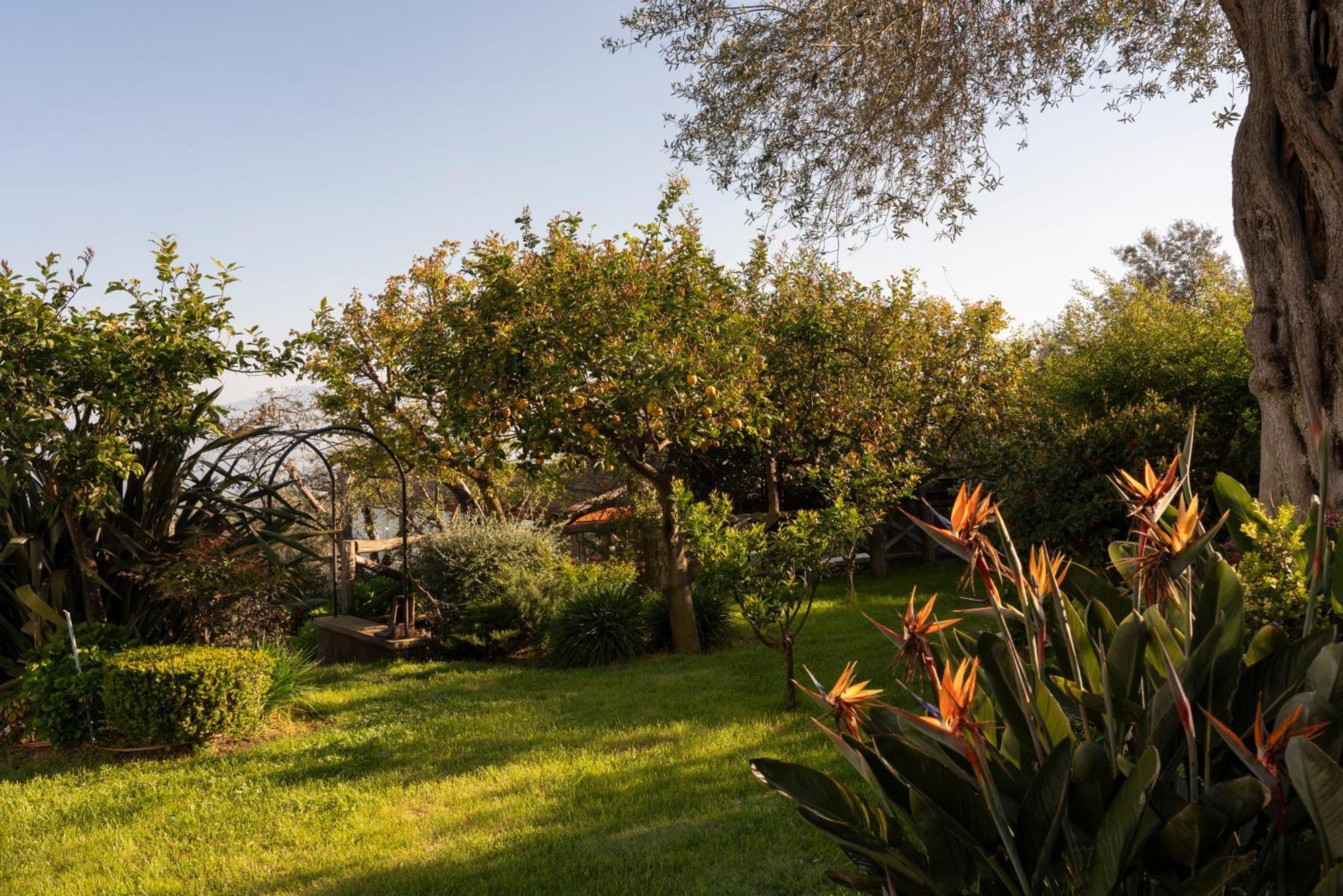 Relais Palazzo Del Barone (Adults Only) Hotell Sorrento Eksteriør bilde